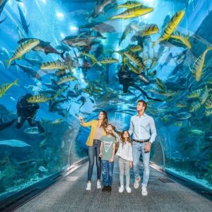 Dubai Aquarium