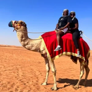 Camel Ride Dubai