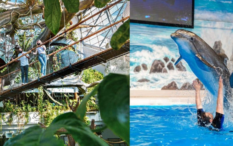 27793_upload6565fa36e775c_1701182006-0-en1701182017