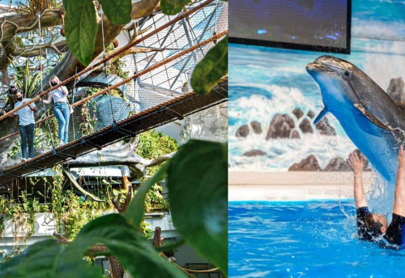 27793_upload6565fa36e775c_1701182006-0-en1701182017