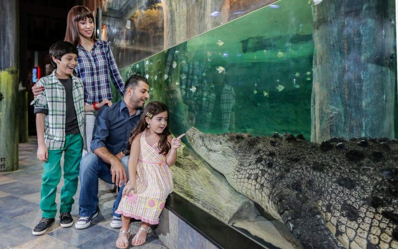 DubaiAquariumTicket