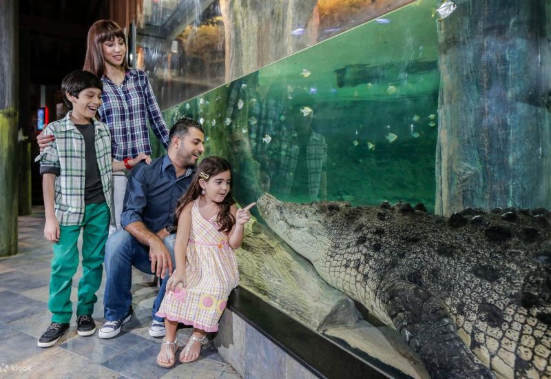 DubaiAquariumTicket